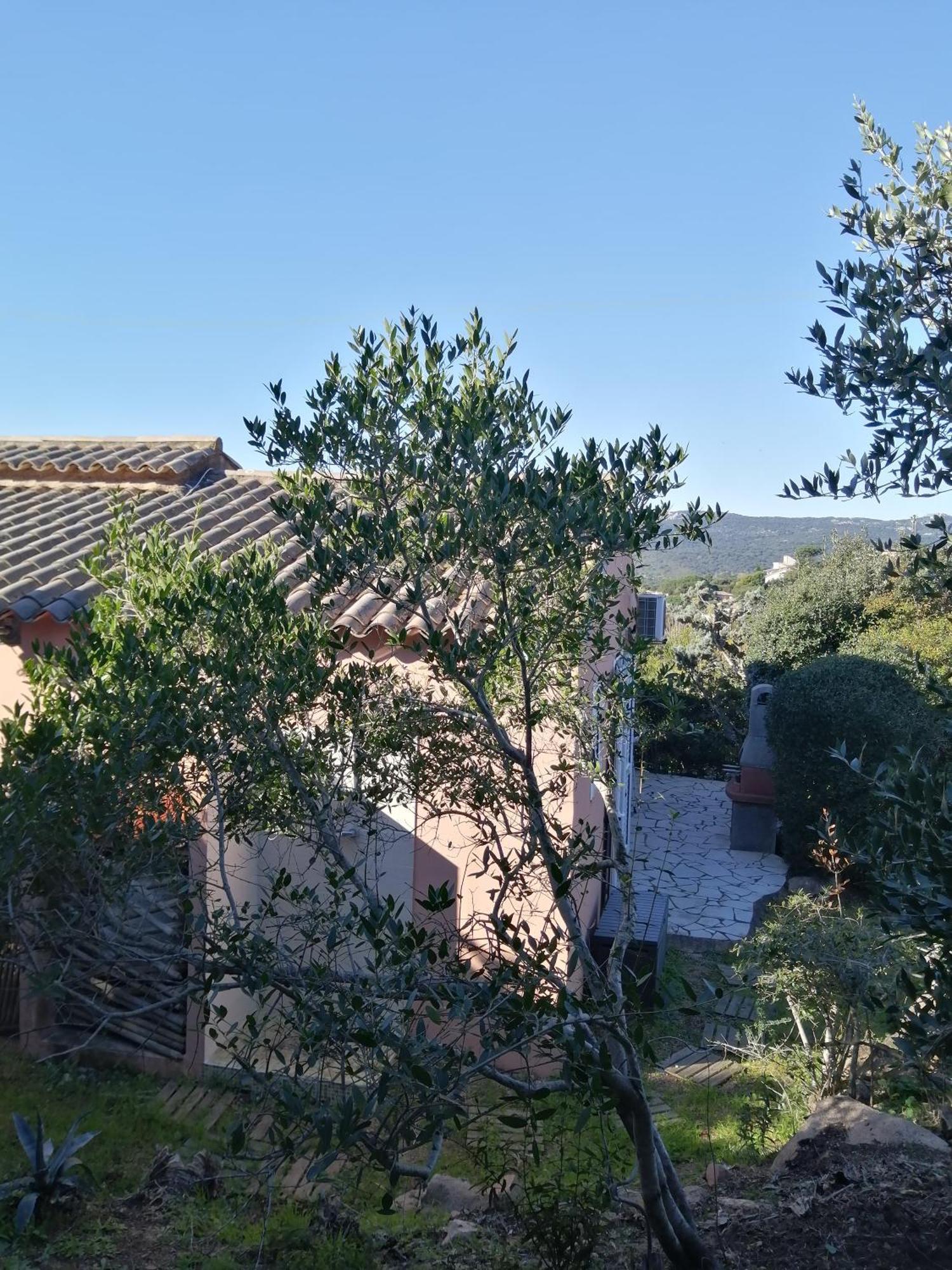 Villa Vue Mer A Santa Giulia بورتو فيكشْيو المظهر الخارجي الصورة